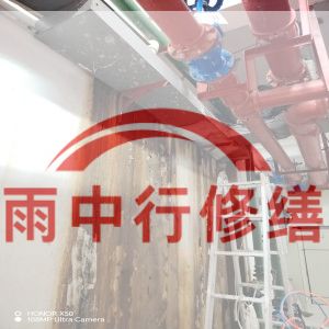 上海某商业综合体地下室堵漏加固