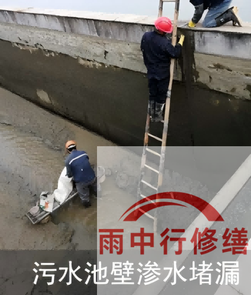 上海2026年防水龙头半月两次涨价,行业格局重塑信号
